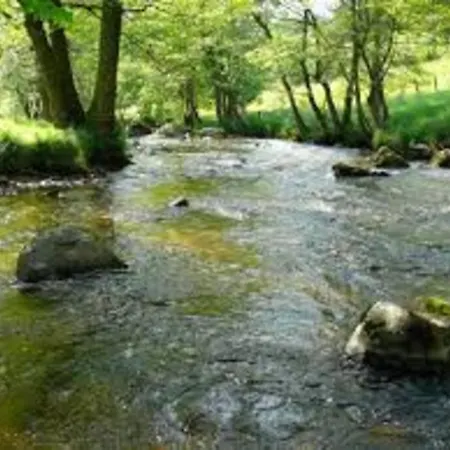 Au Pool House De La Faye +spa Ouvert Toute L'annee Appartement Saint-Romain-Lachalm